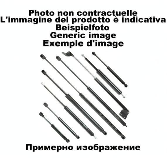 Амортисьор преден капак за Renault Scenic (IV 2017-)