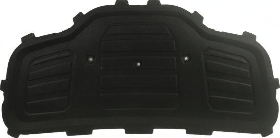 Изолация за преден капак за Audi Q5 (OE 80A863825)