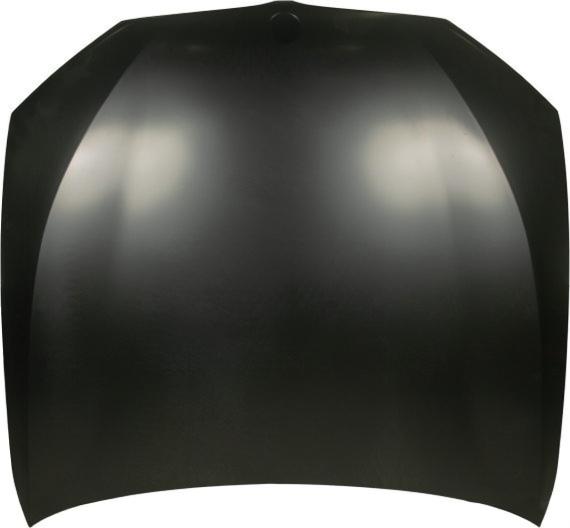 Капак преден за BMW Series 5 (OE 41007440427)